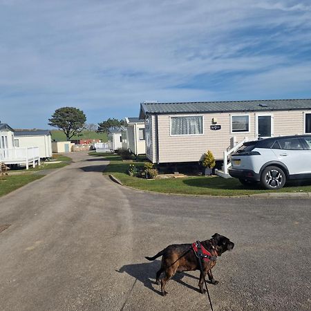 Durdlee Door, D27, Main Rd, West Lulworth, Wareham Bh20 5Pu Ξενοδοχείο Εξωτερικό φωτογραφία